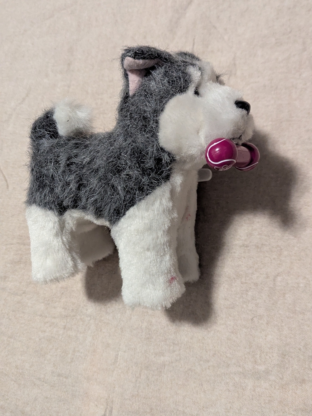 American Girl Plush Husky Dog Gray White 2019 GDX03 with Purple Bone - Picture 2 of 7